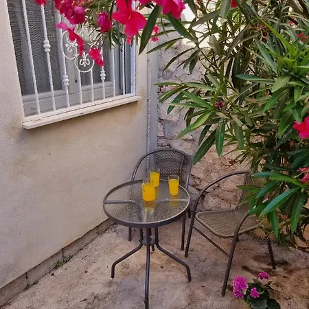 Oleander * سبليت